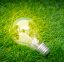 Eco concept - light bulb grow in the grass