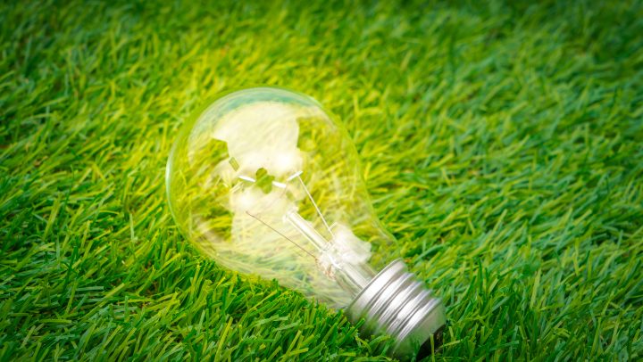 Eco concept - light bulb grow in the grass
